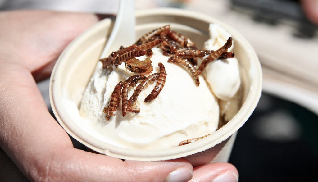 Insect Ice Cream