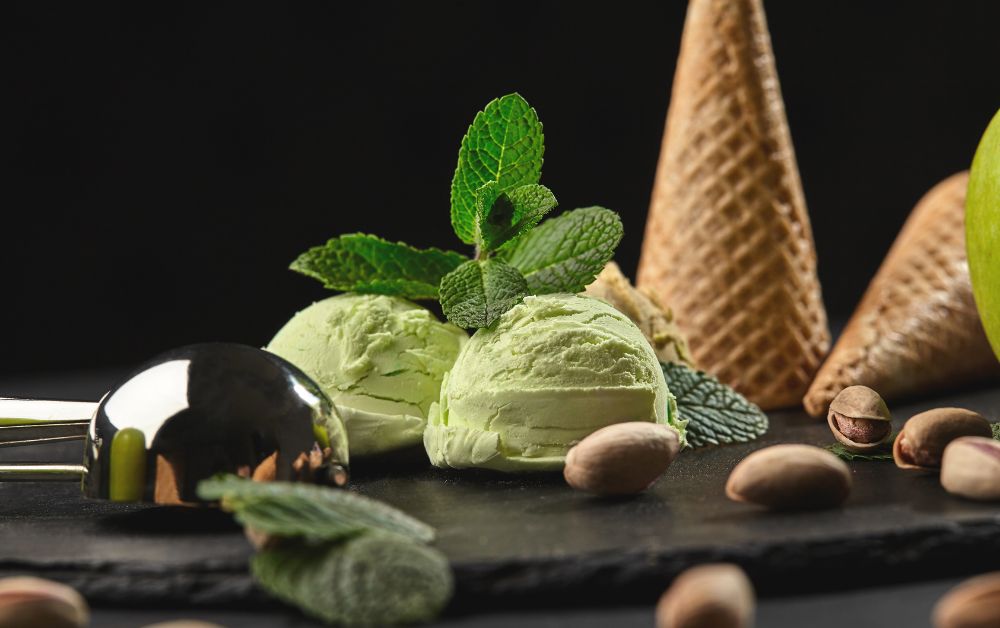 Homemade Mint Chocolate Chip Ice Cream